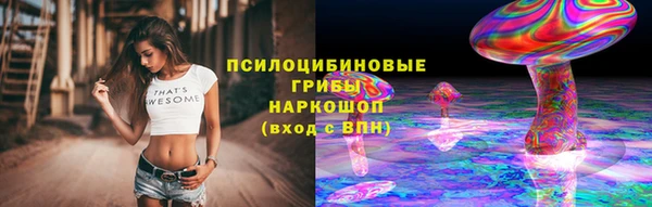 гашик Баксан