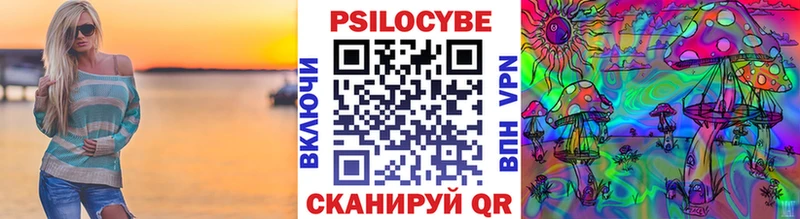 Псилоцибиновые грибы Psilocybine cubensis  купить   Ядрин 