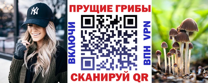 Галлюциногенные грибы MAGIC MUSHROOMS Ядрин