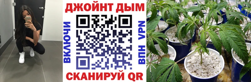 Каннабис ГИДРОПОН  Ядрин 